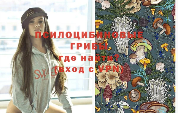 мет Арсеньев