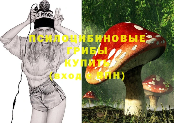 мет Арсеньев