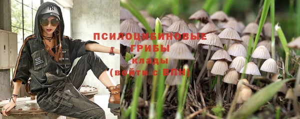 мет Арсеньев