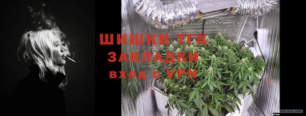 мет Арсеньев